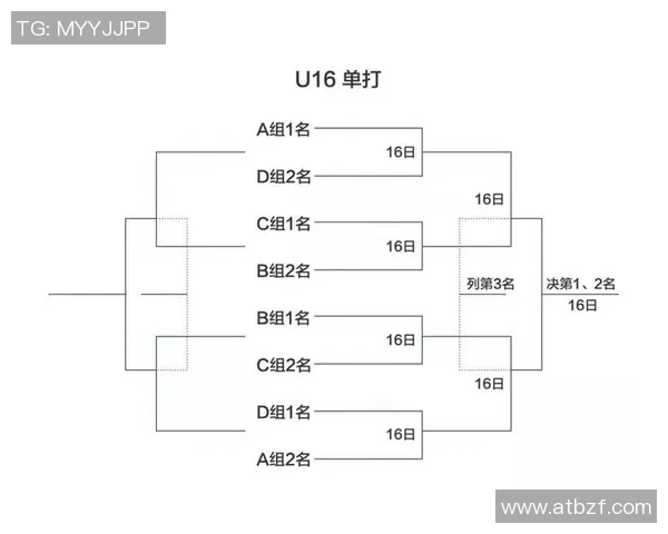 北京网球队在杯赛中的比赛经验与表现分析与总结