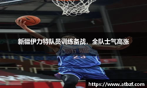 ng体育app官网入口