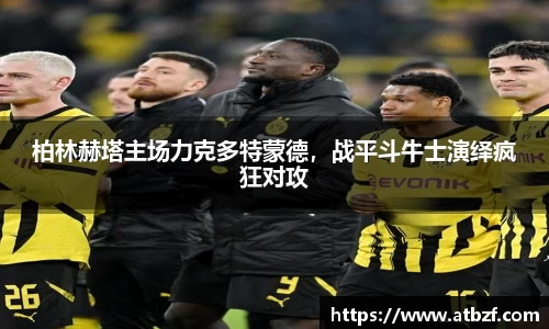ng体育app官网入口