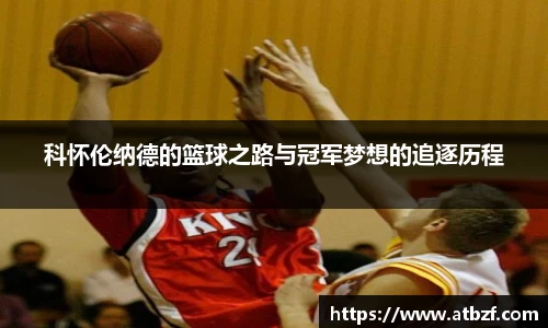 乐动LDSports综合体育