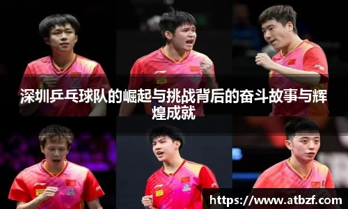 乐动LDSports官网